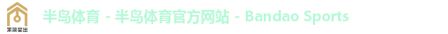 半岛体育